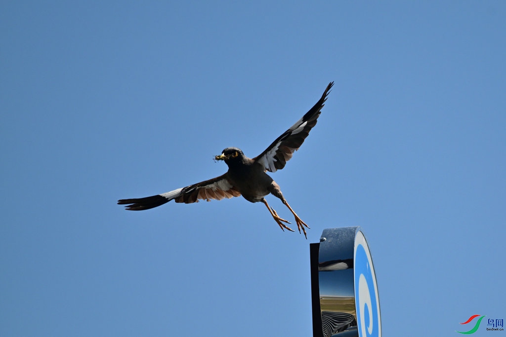 DSC_1340.jpg