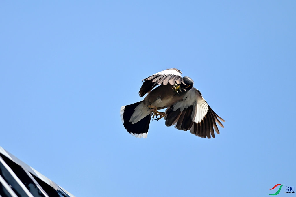 DSC_1345.jpg