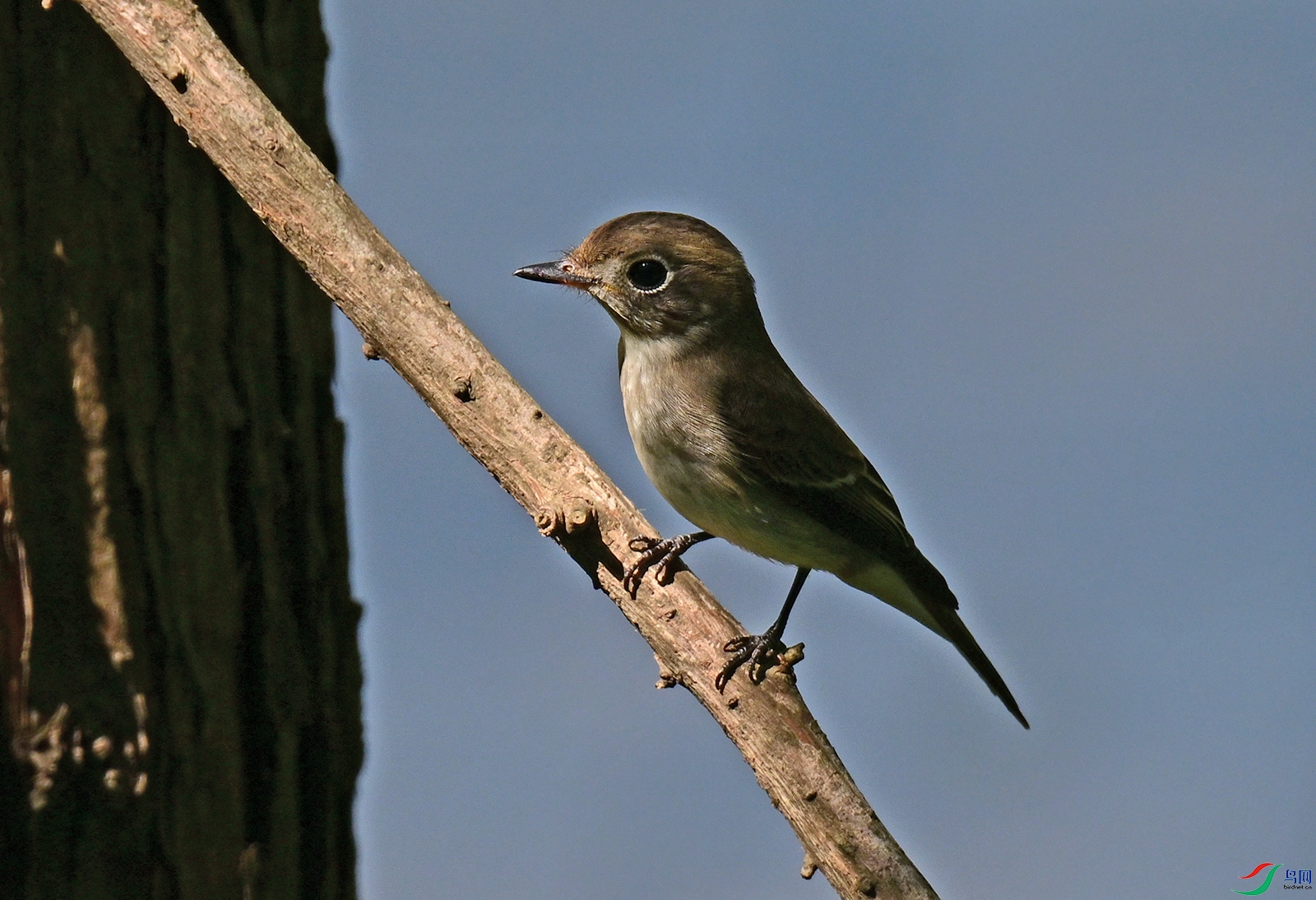 DSC_2273.jpg