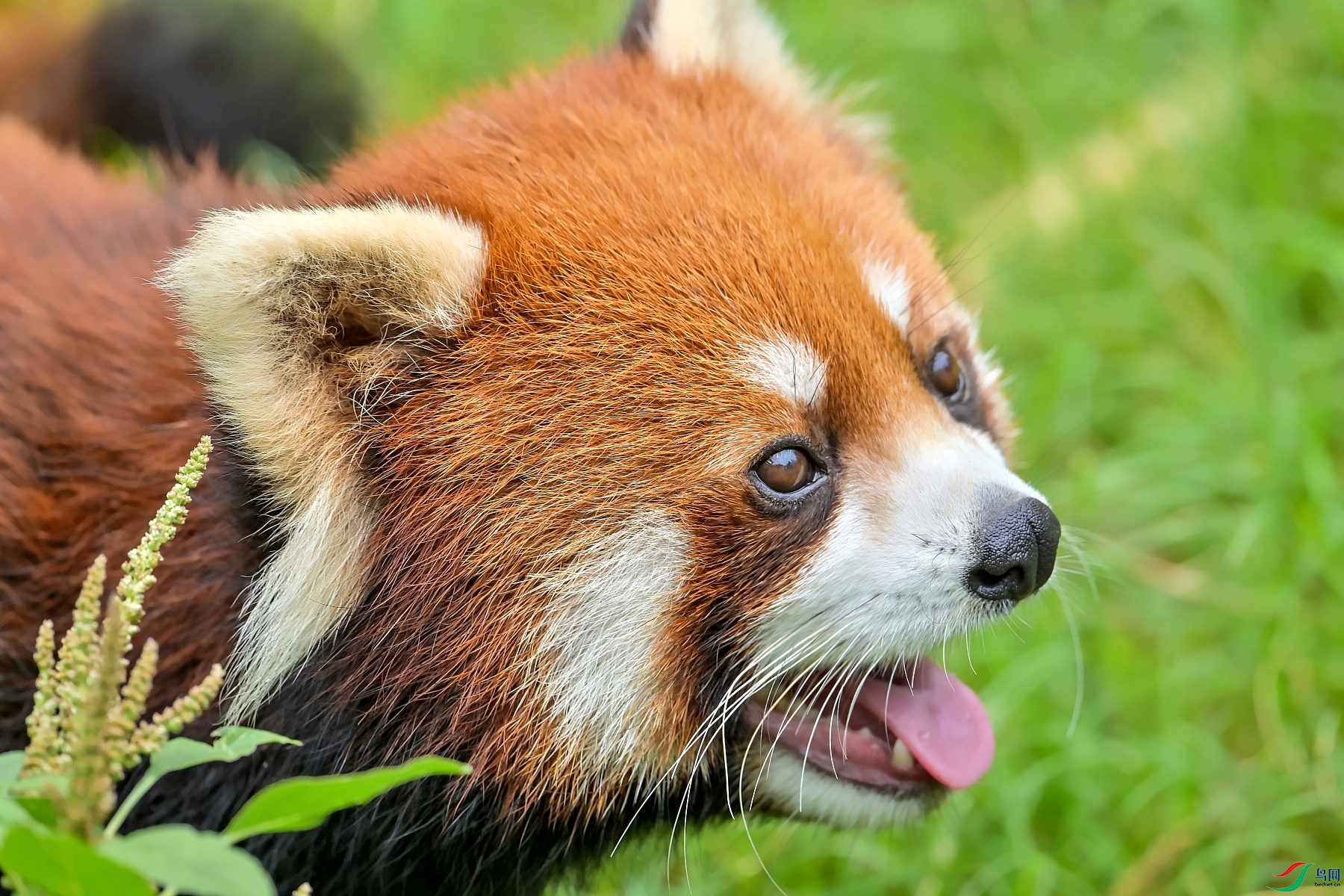 DSC_6901---_conew1.jpg