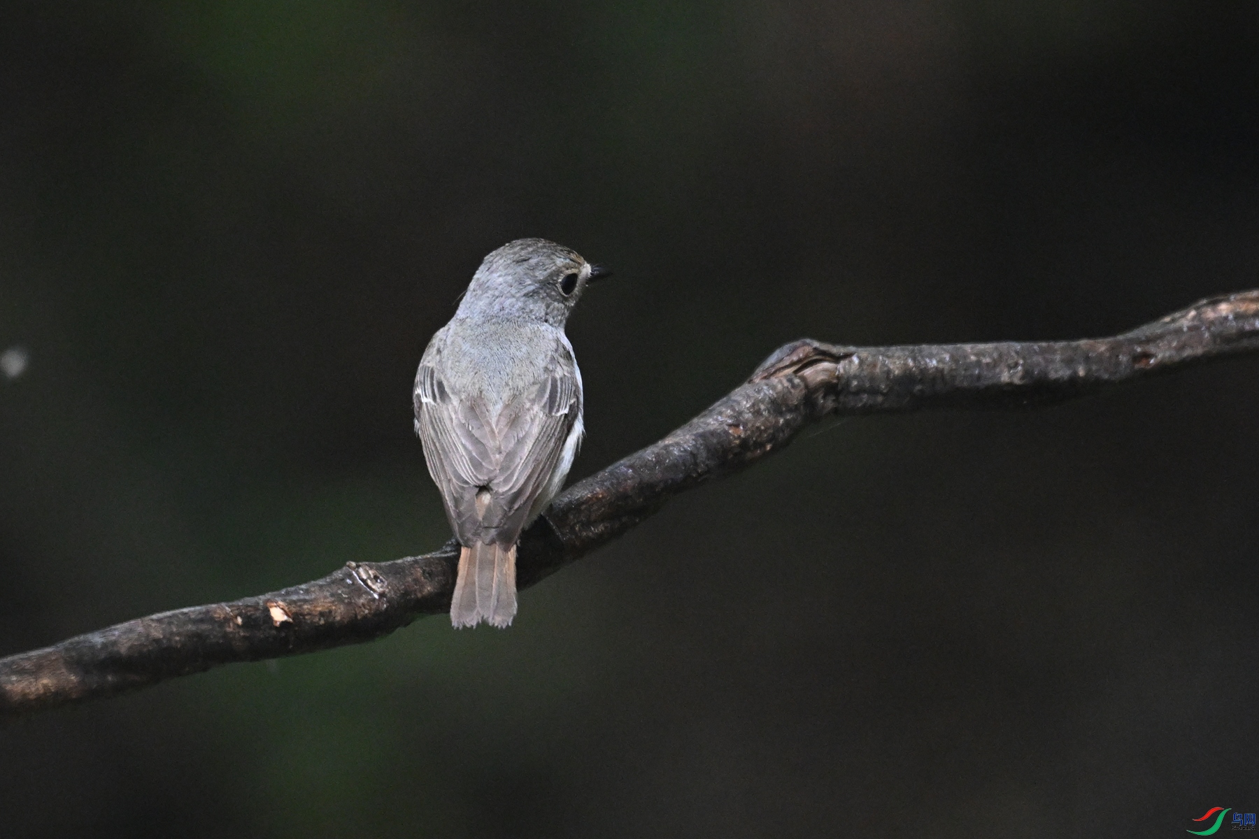 DSC_6792.JPG