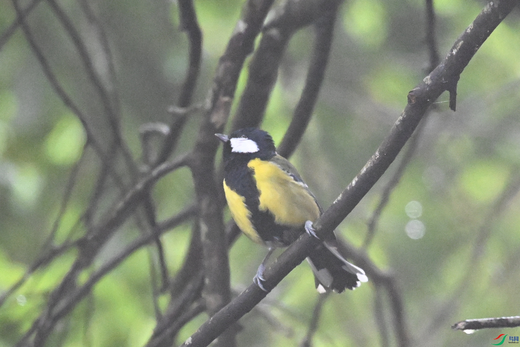 DSC_6796.JPG