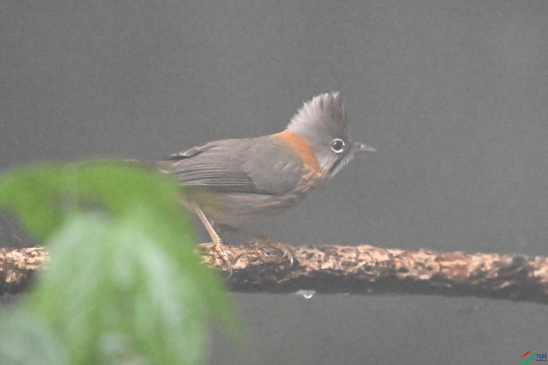 DSC_6801.JPG