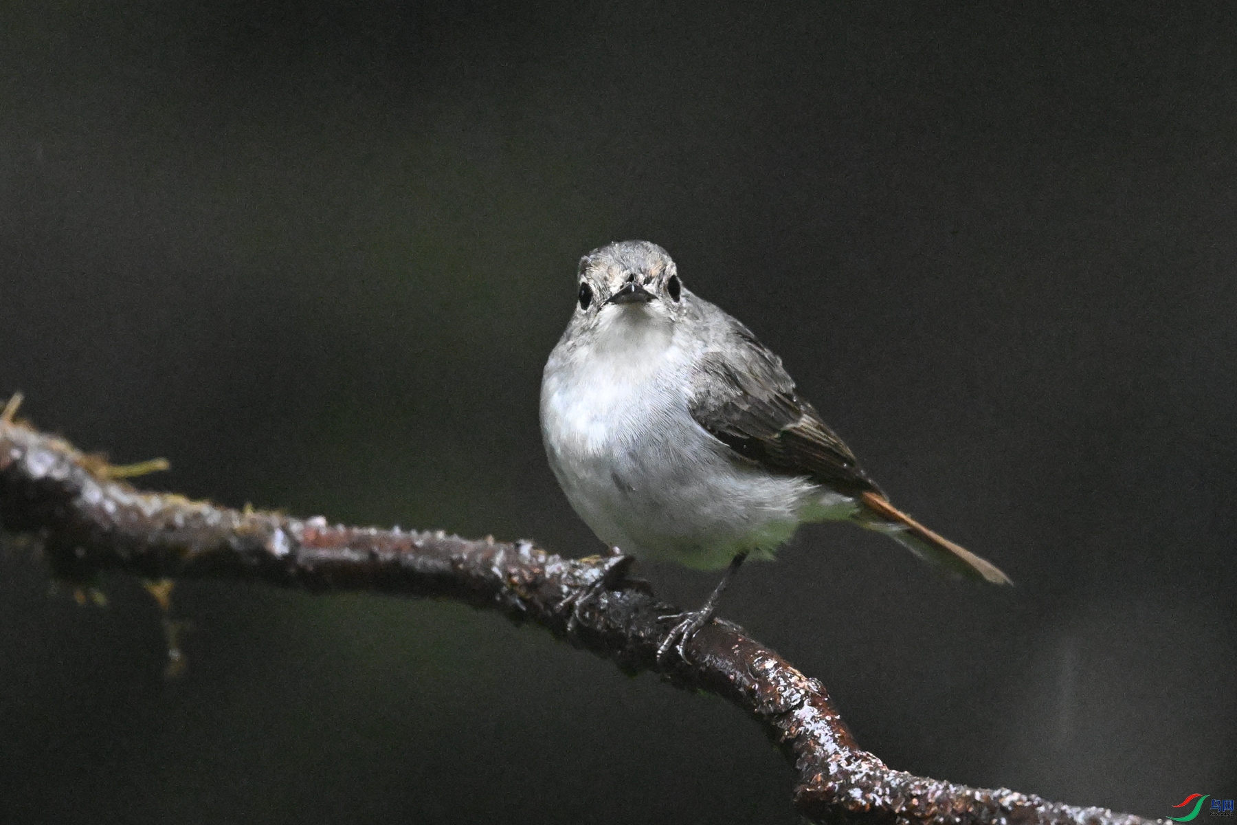 DSC_6845.JPG