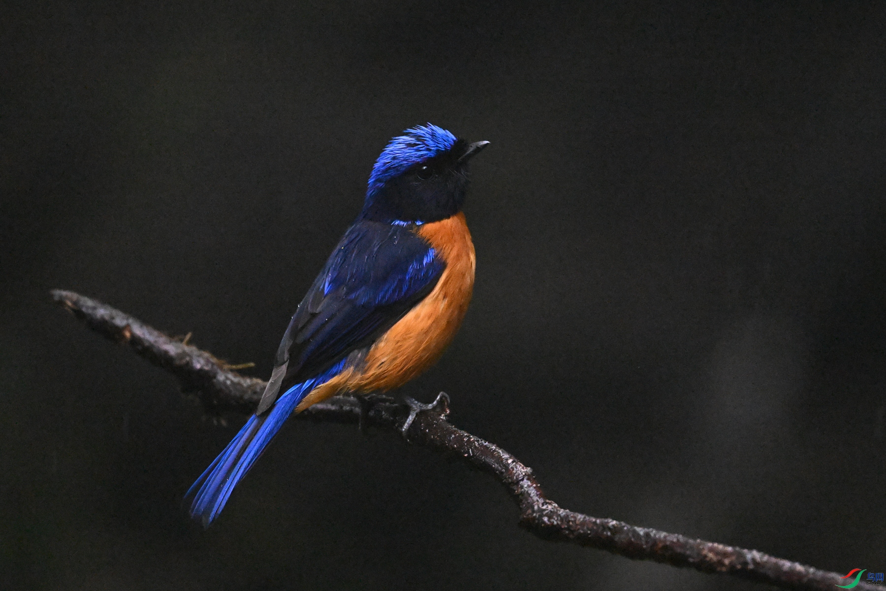 DSC_6846.JPG