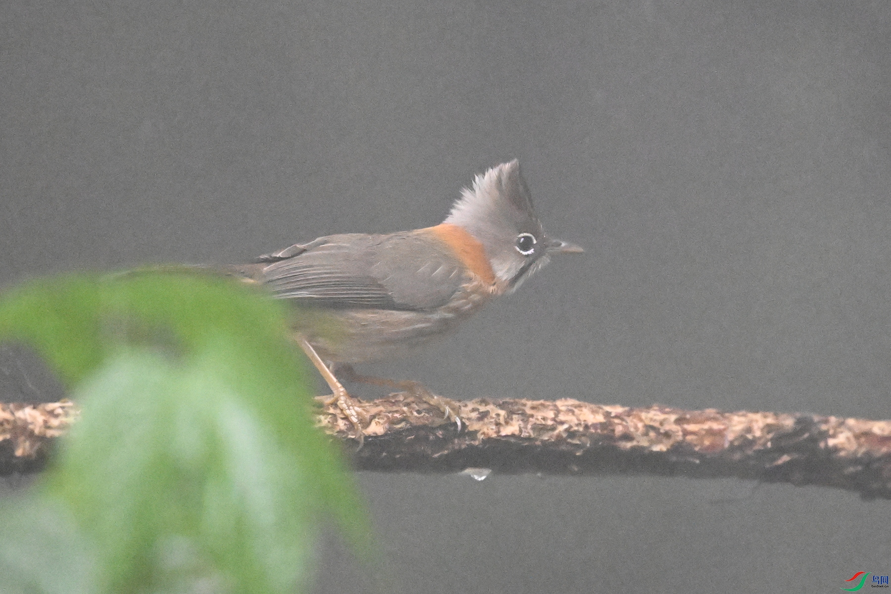 DSC_6803.JPG
