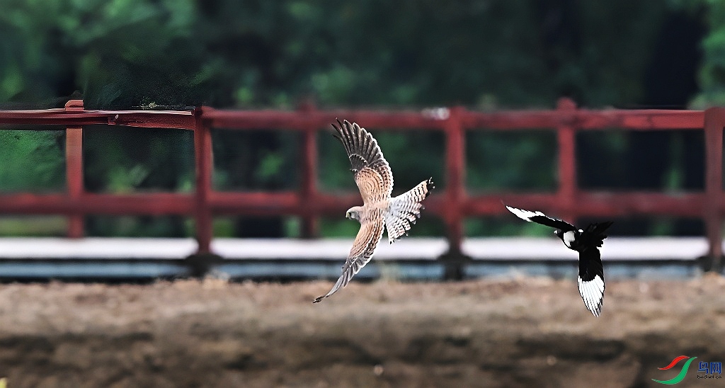 DSC_5115.JPG