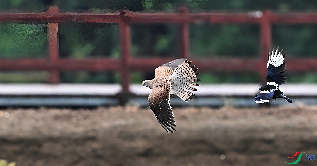 DSC_5117.JPG