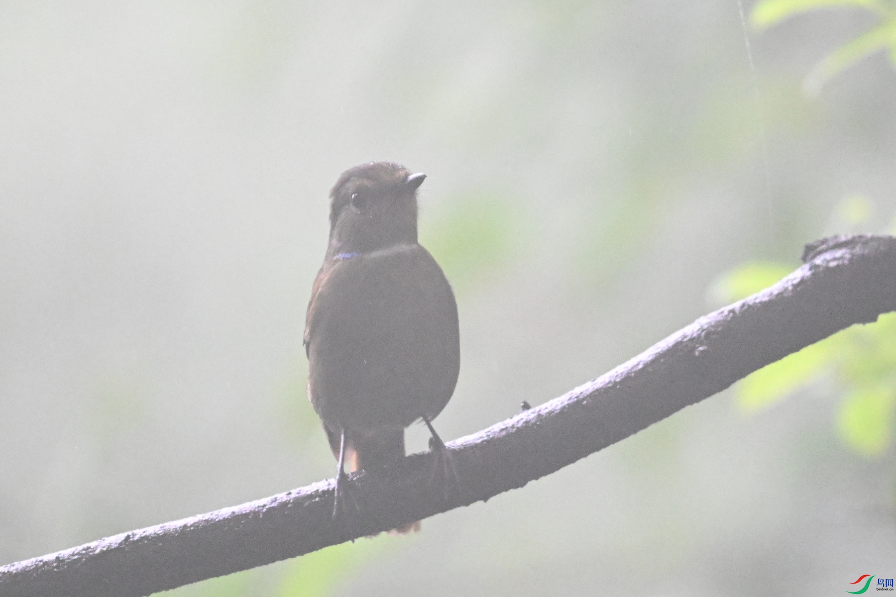 DSC_6807.JPG