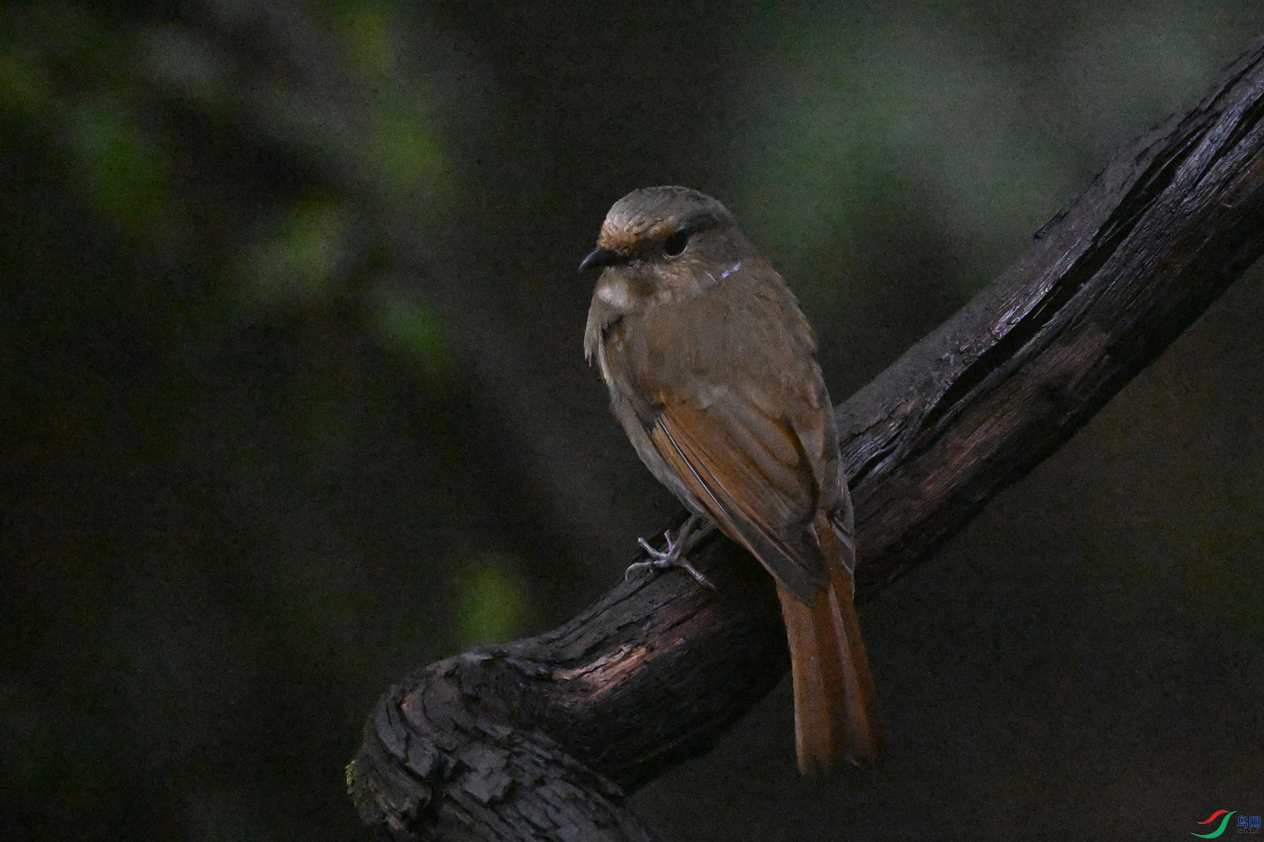 DSC_6812.JPG