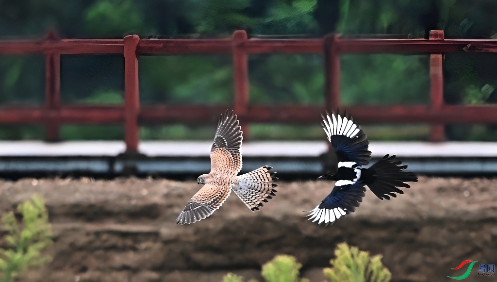 DSC_5124.JPG