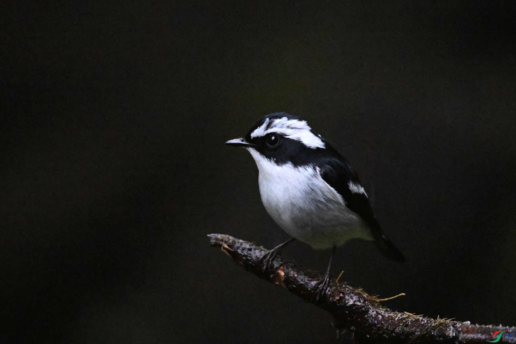 DSC_6820.JPG