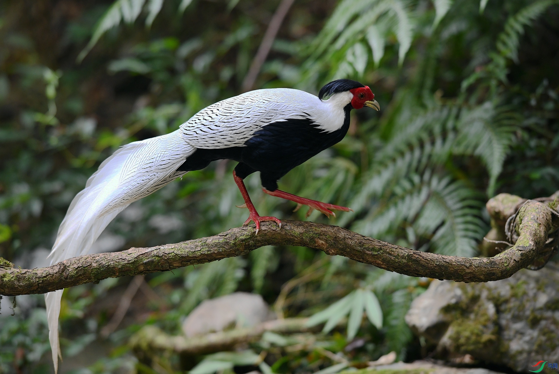 DSC_6759.jpg