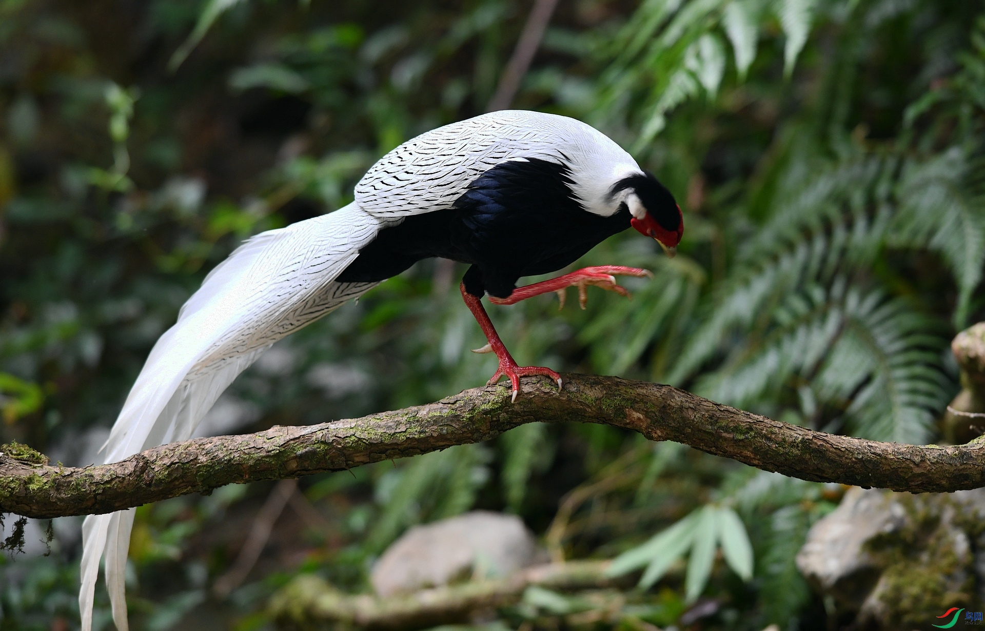 DSC_6756.jpg