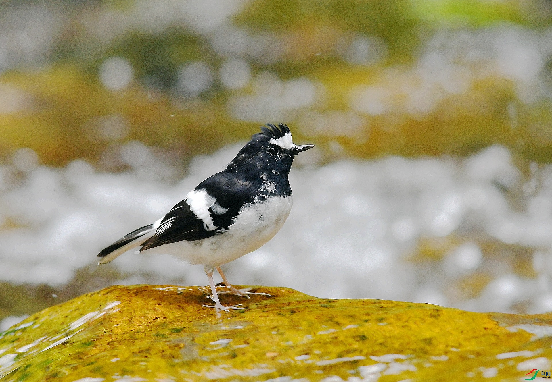 DSC_6974.jpg