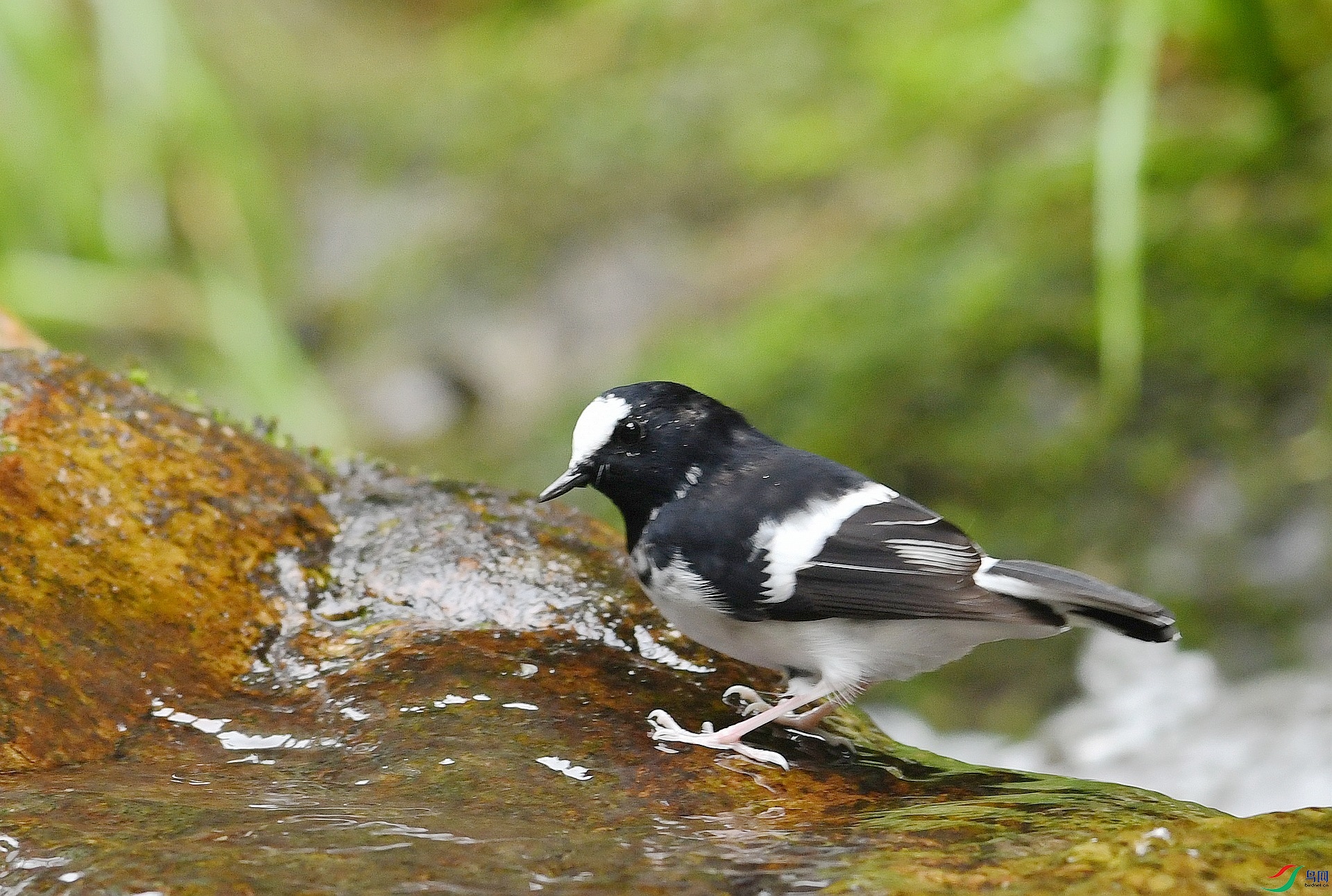 DSC_6935.jpg