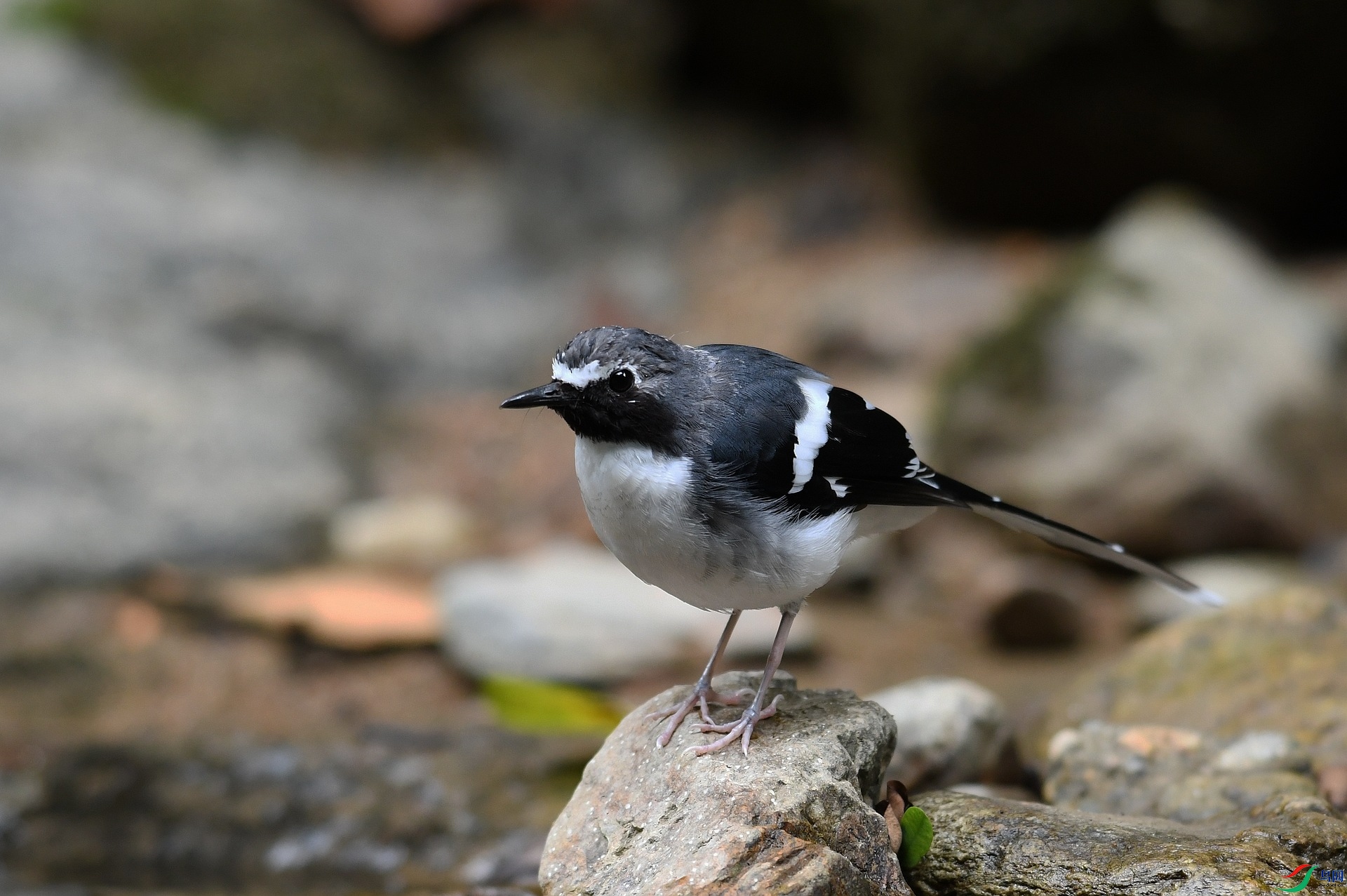DSC_6700.jpg