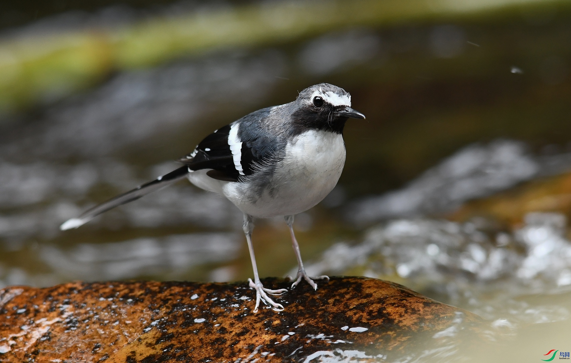 DSC_6707.jpg