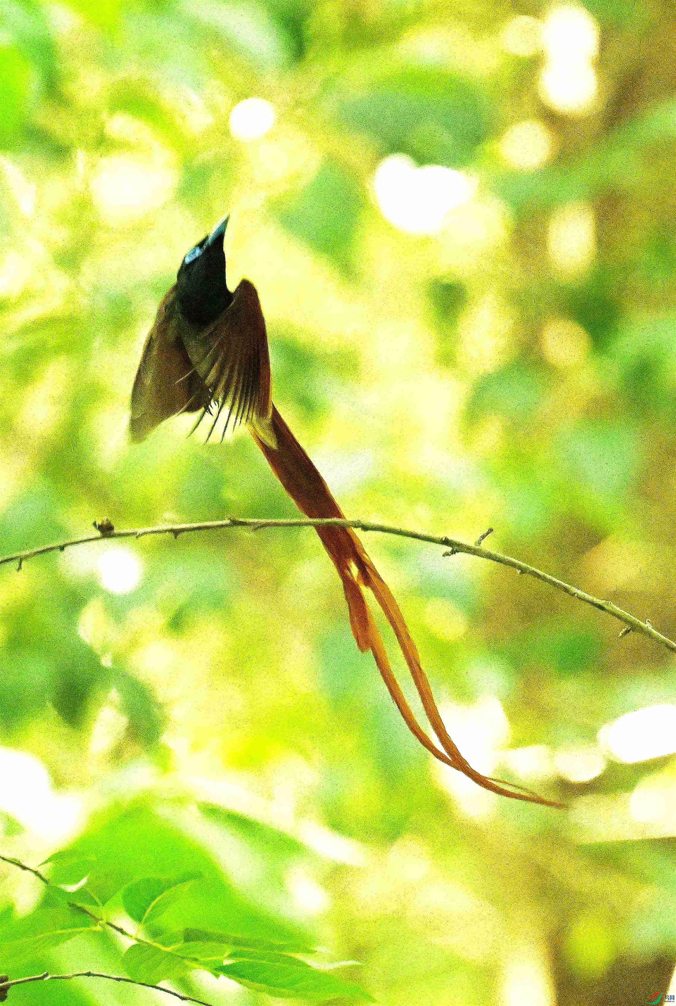 DSC_3710.JPG