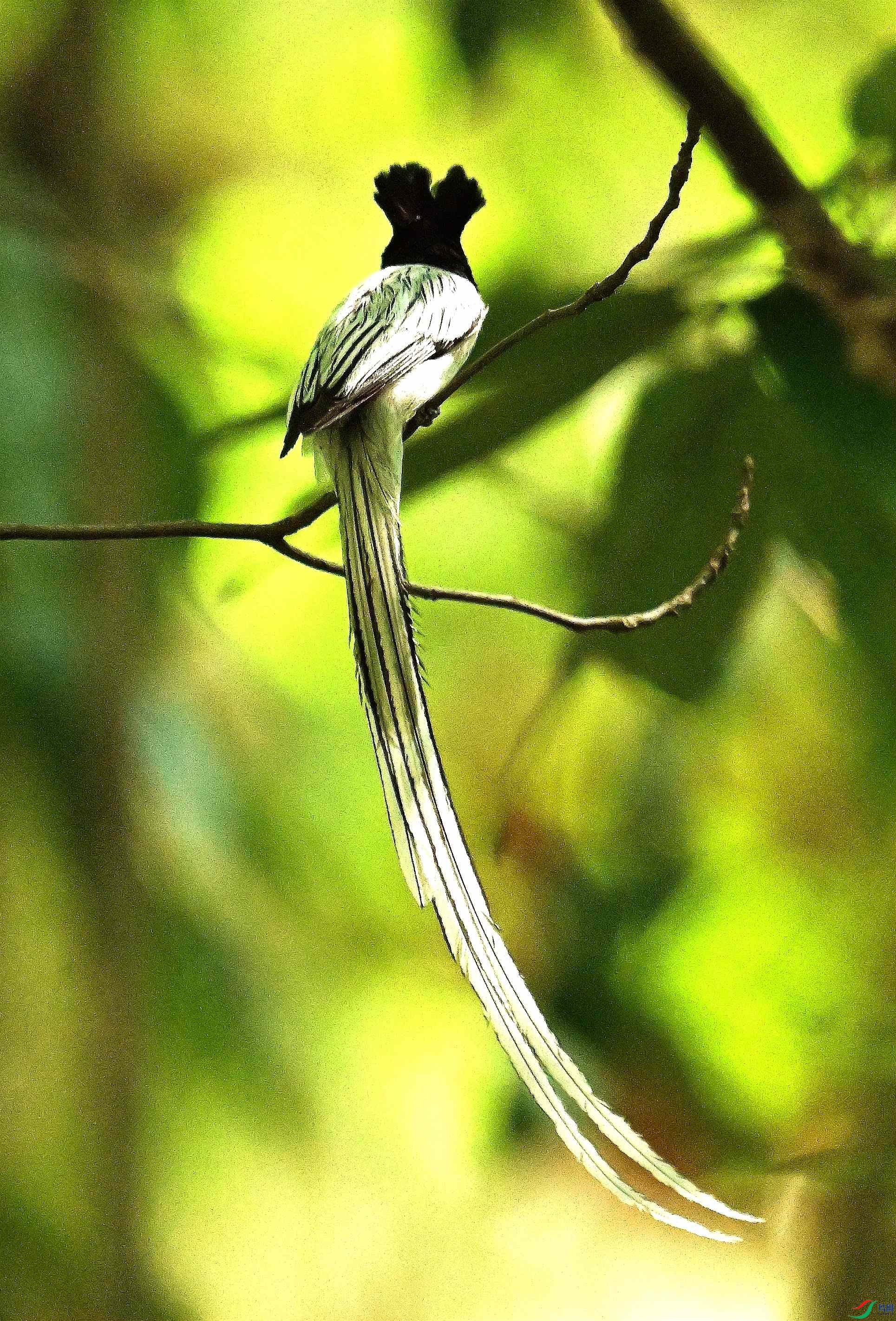 DSC_5850.JPG