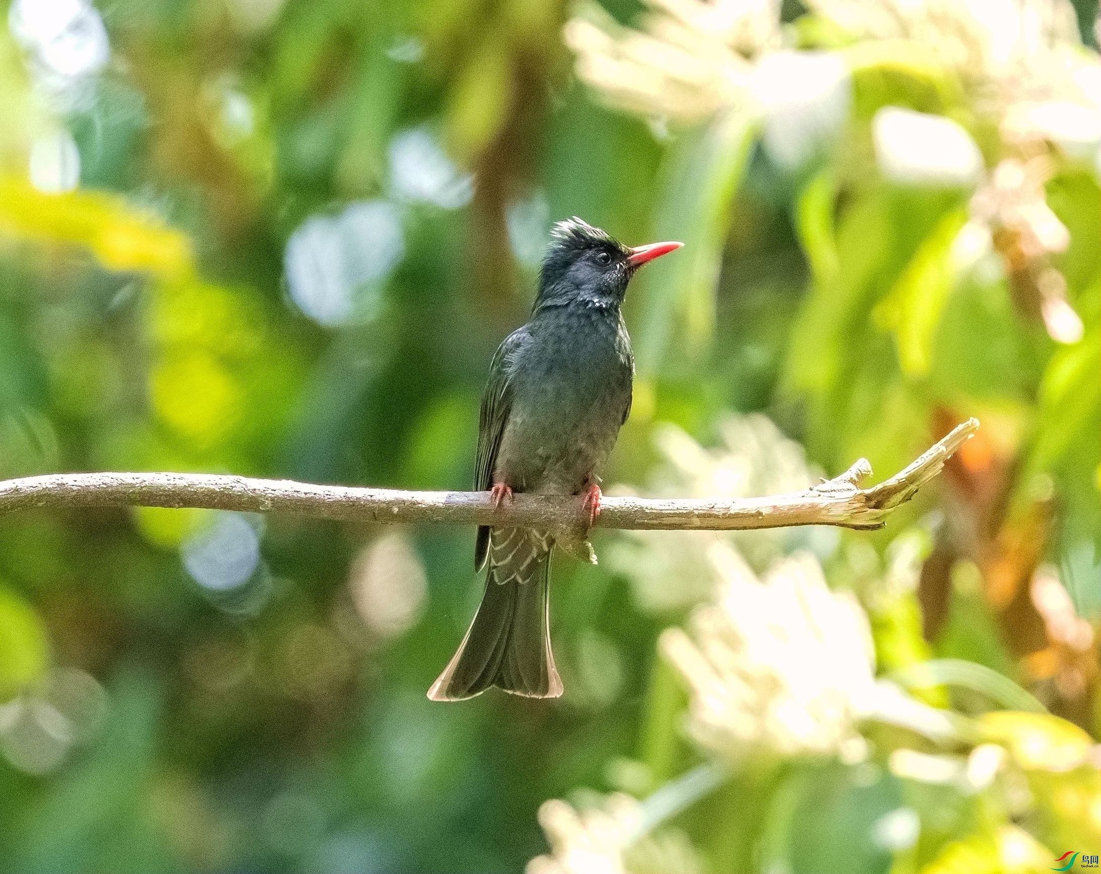 DSC_5394_����.jpg