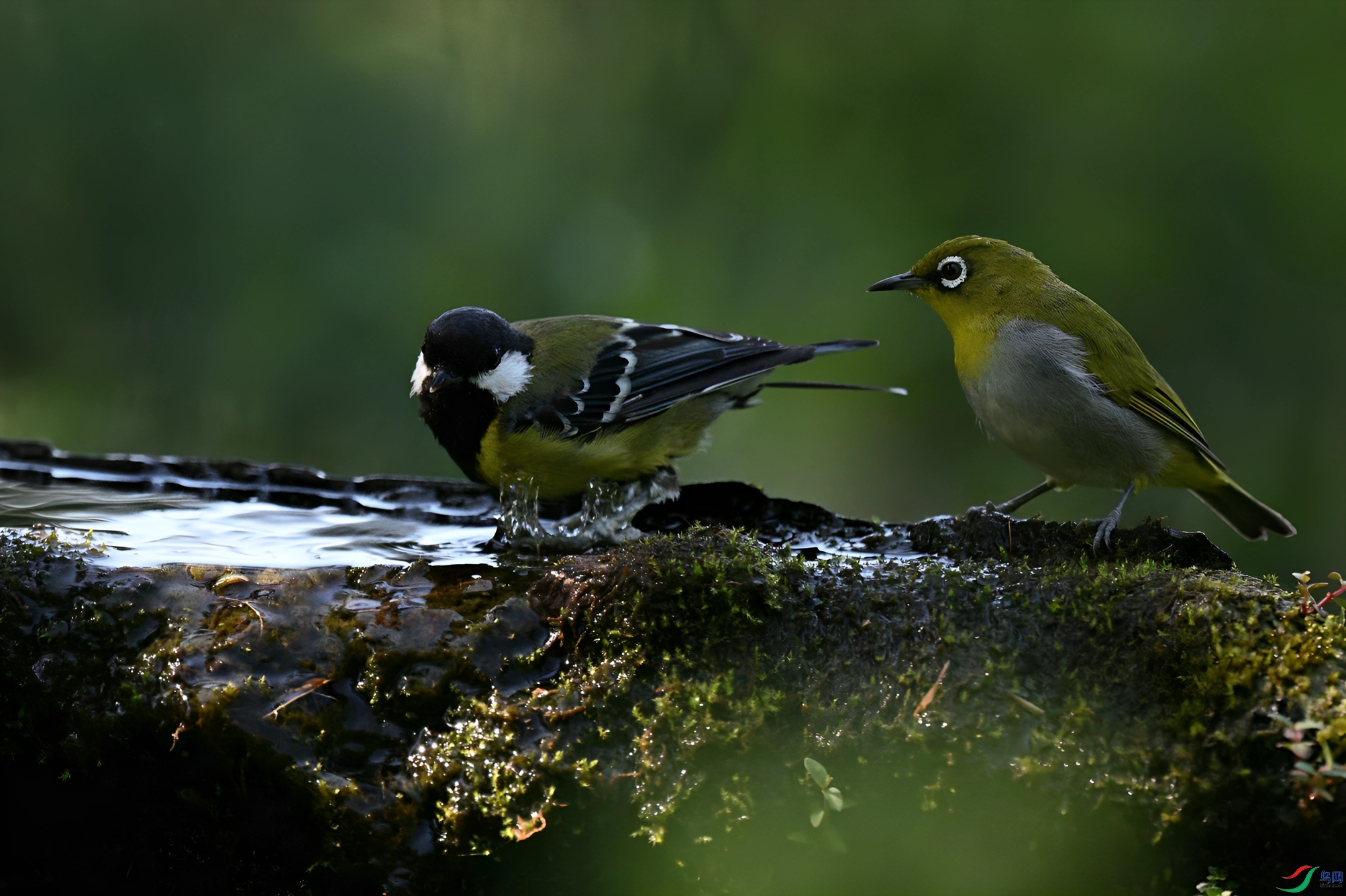 DSC_1042_����.jpg
