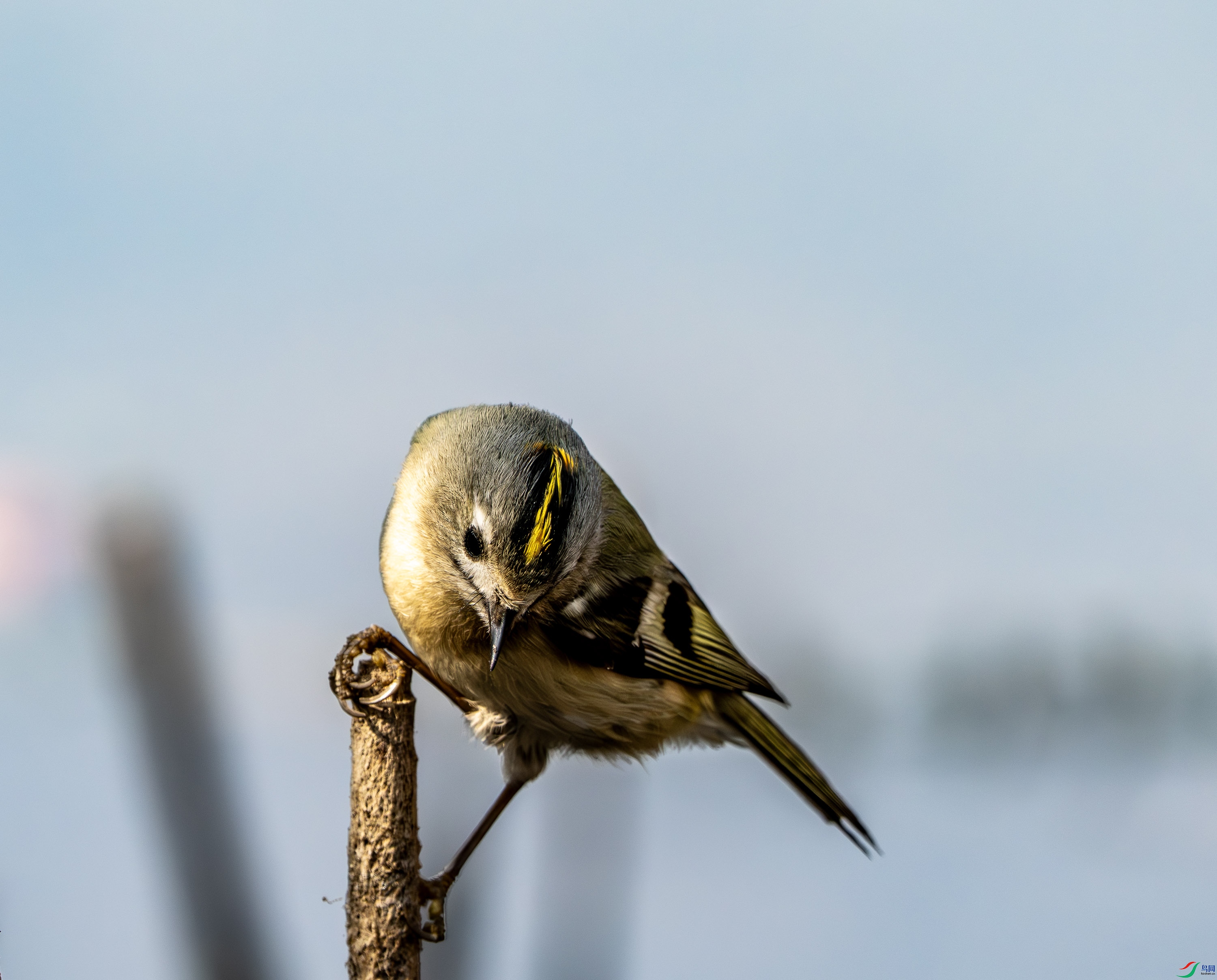 ����-39.jpg