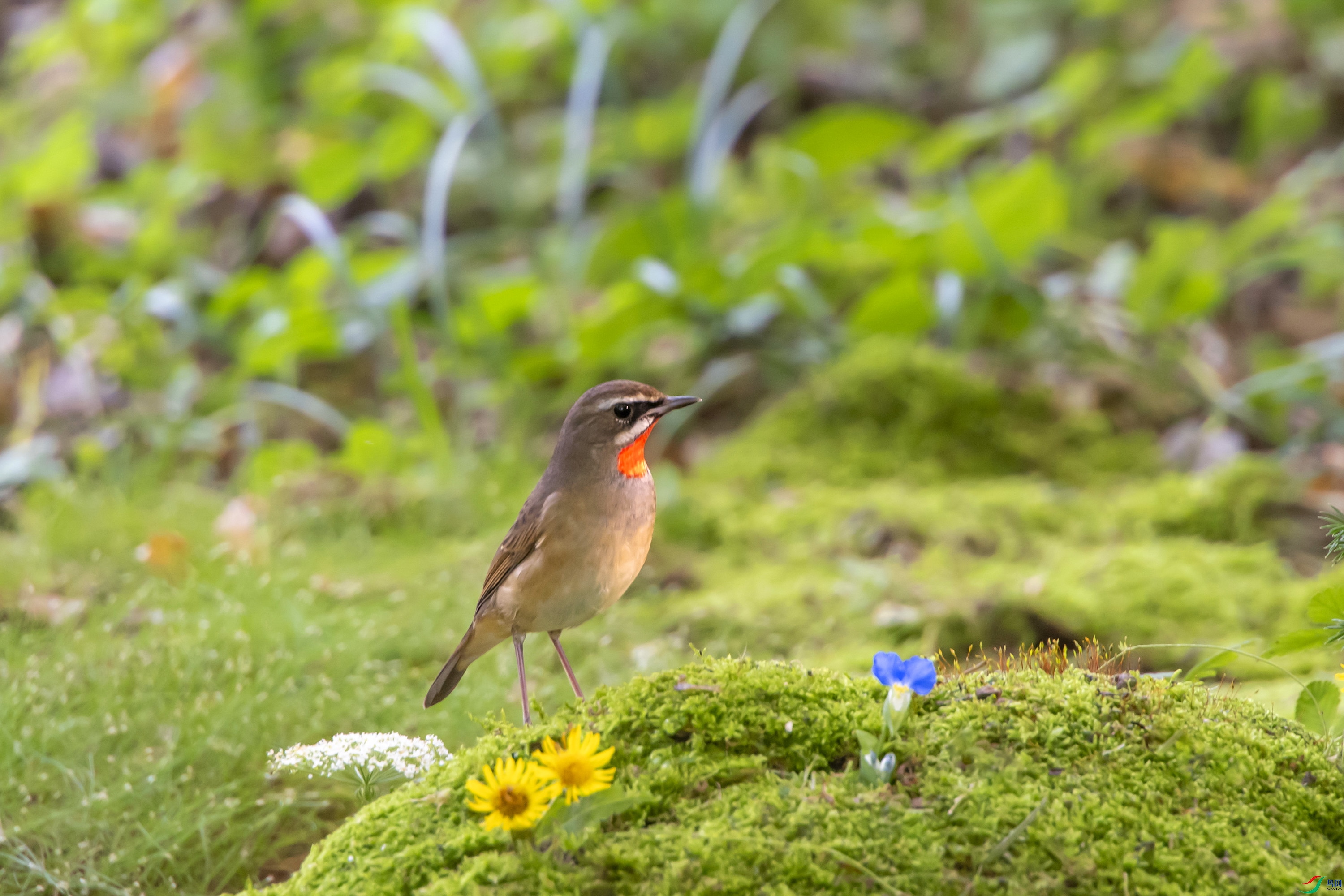 DSC_9012.jpg
