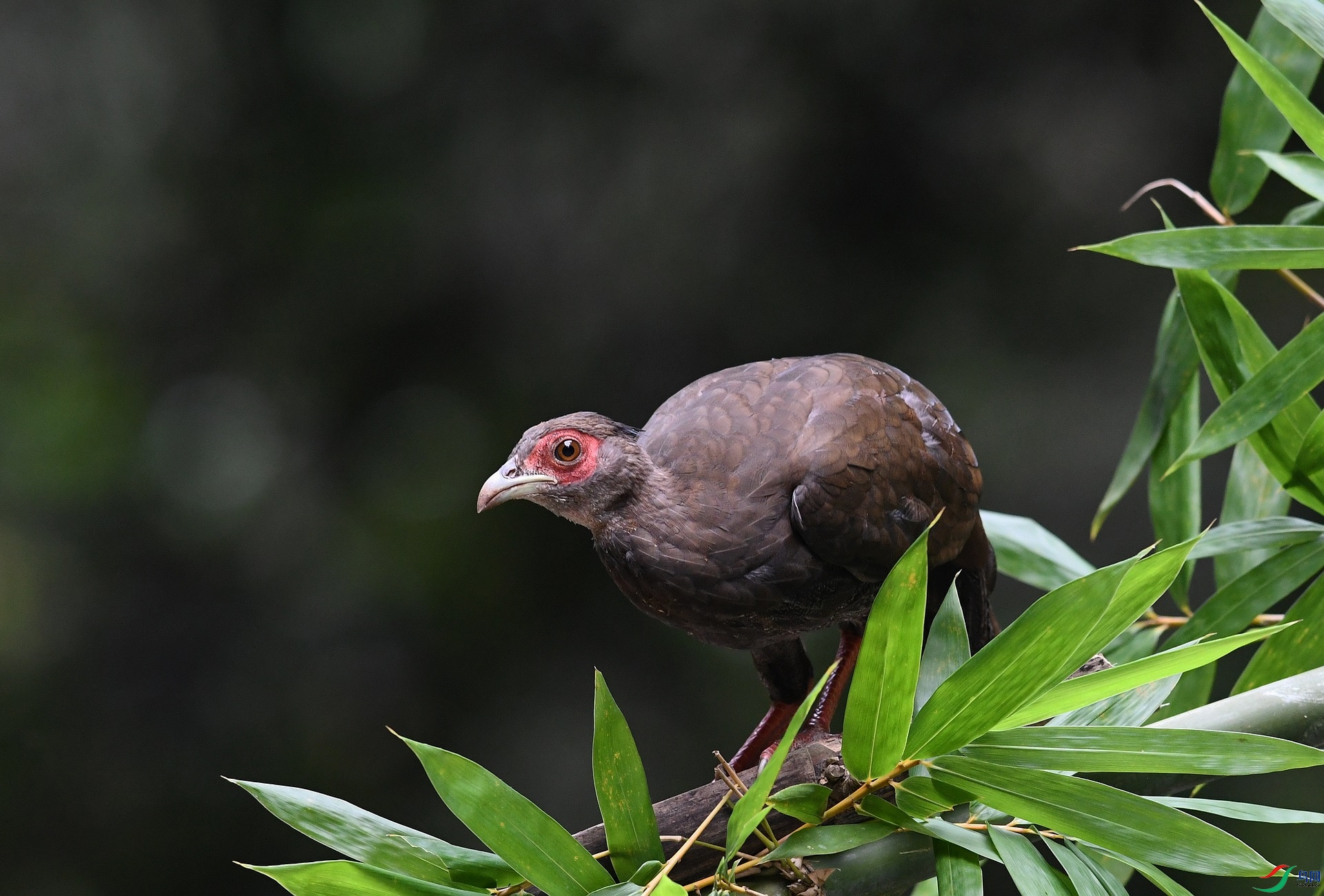 DSC_7805.jpg