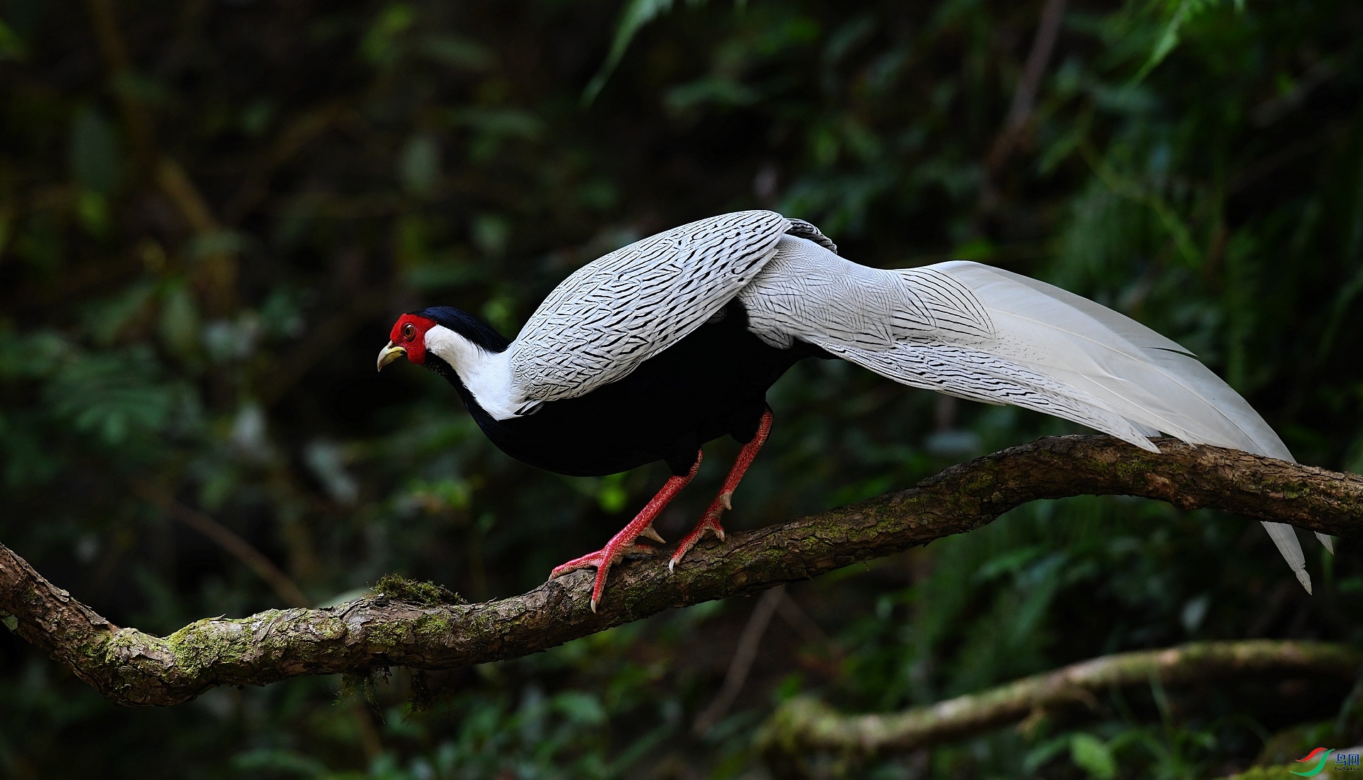 DSC_4697.jpg