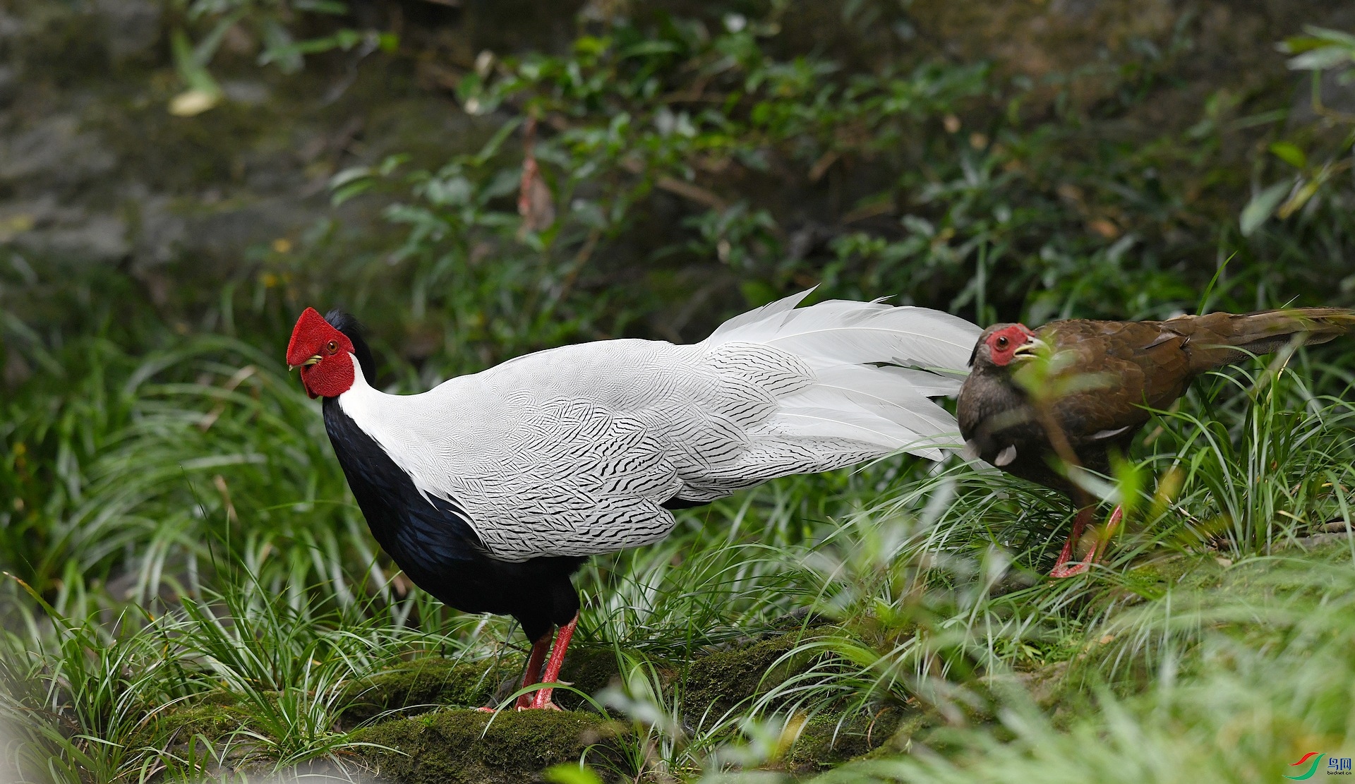DSC_7814.jpg