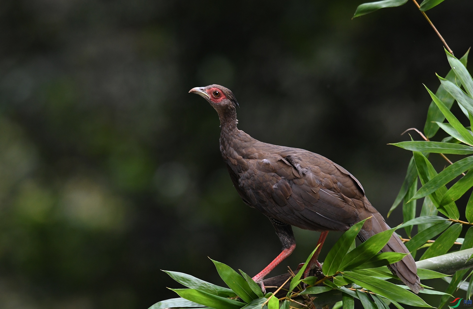 DSC_7835.jpg