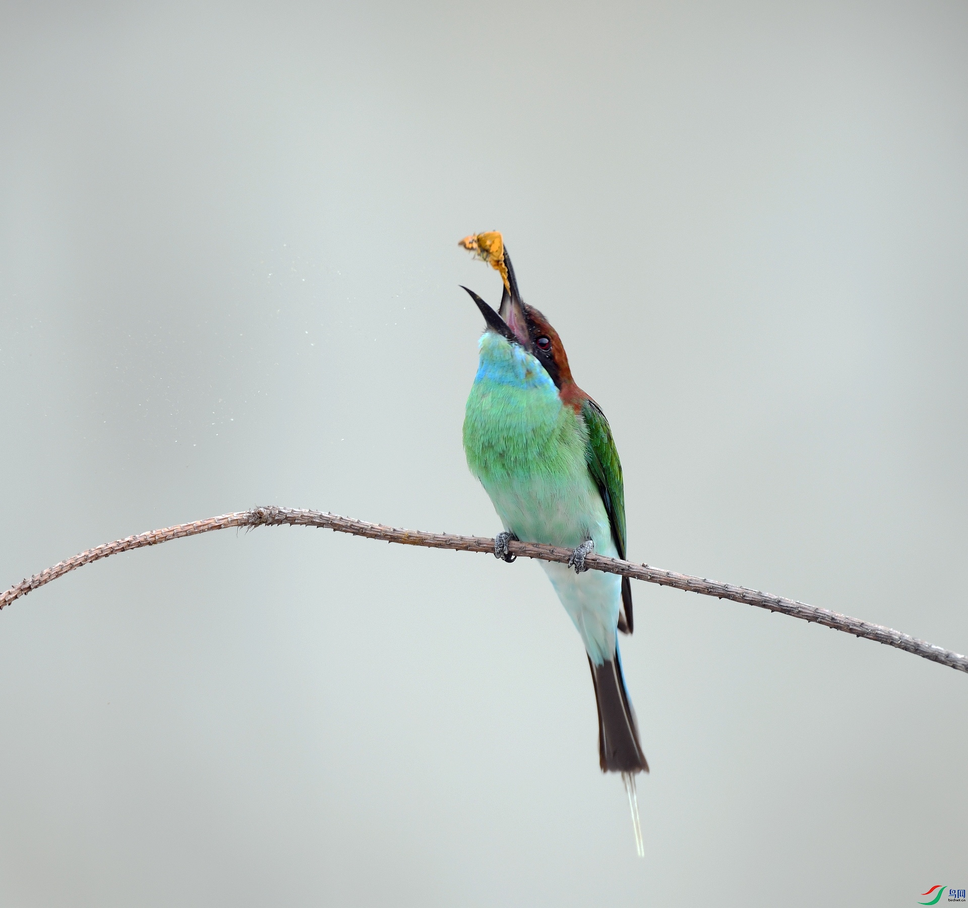 DSC_7813.jpg