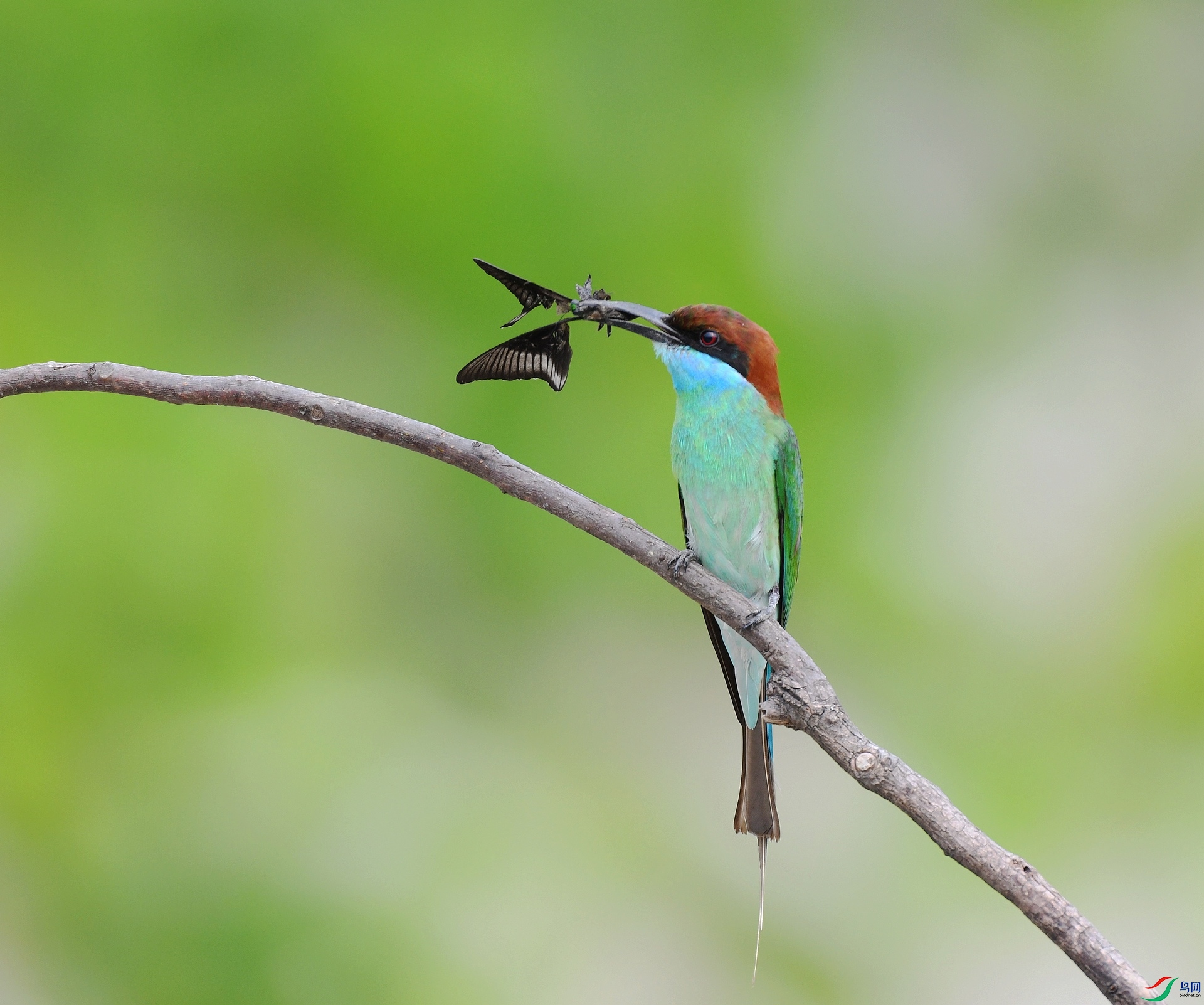 DSC_0719.jpg