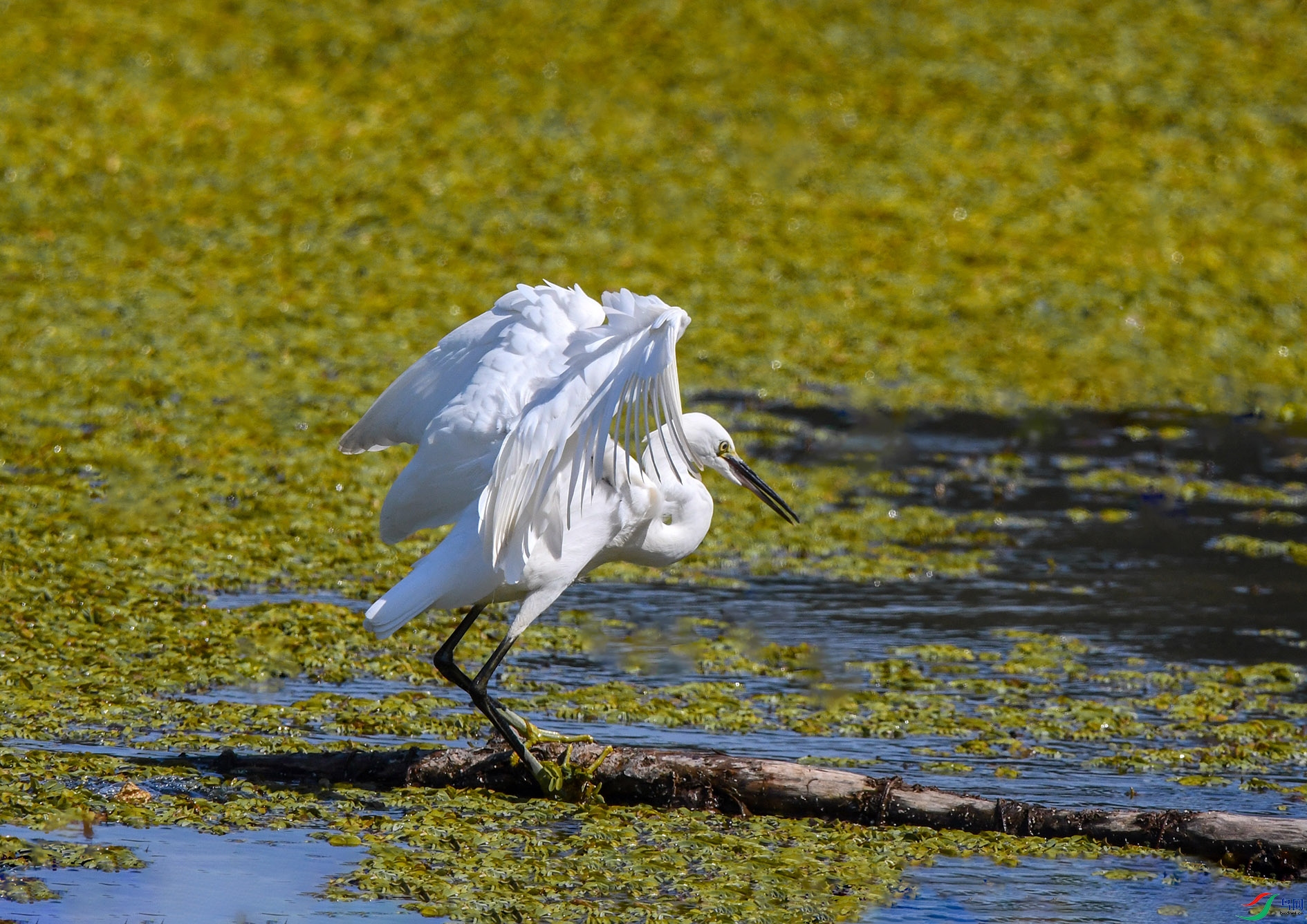 DSC_1285_��ͼ�� ����.jpg