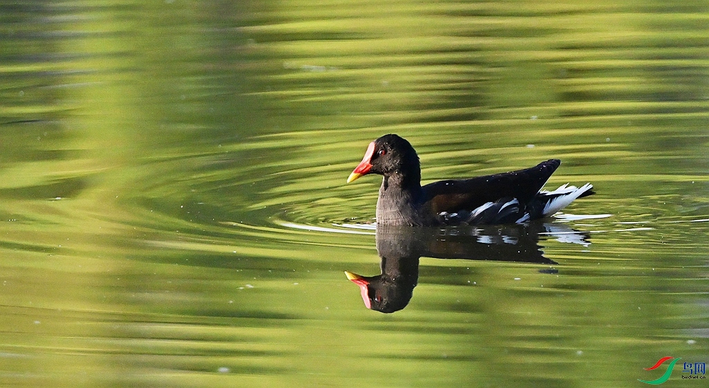 DSC_8722.JPG