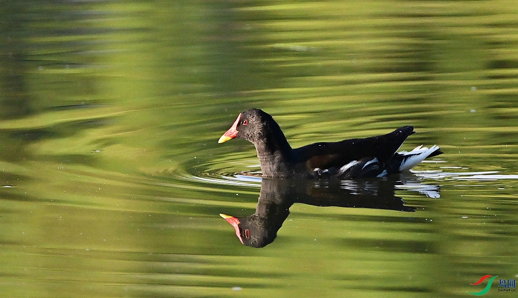 DSC_8738.JPG