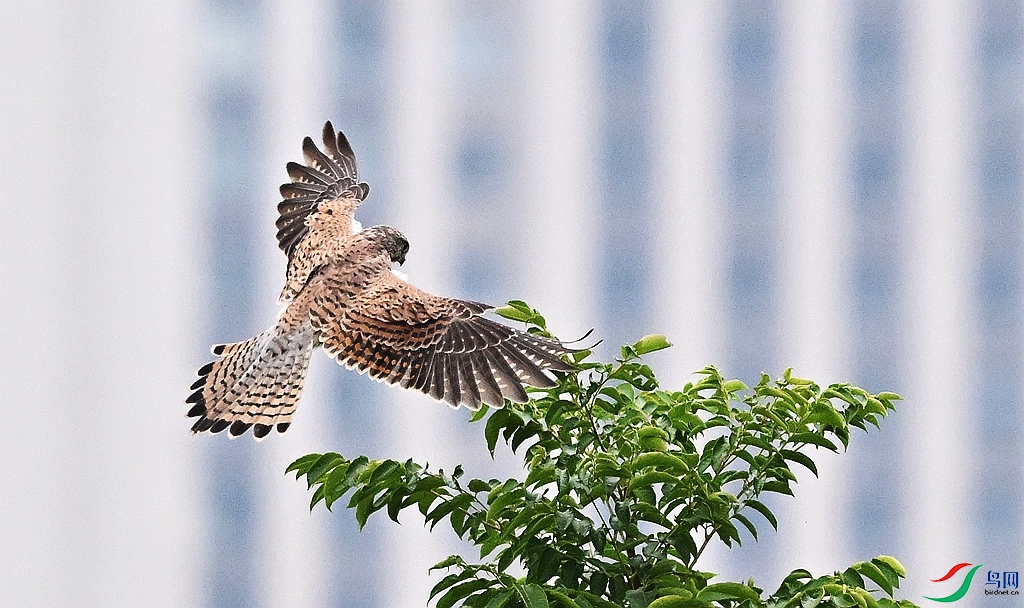 DSC_5974.JPG