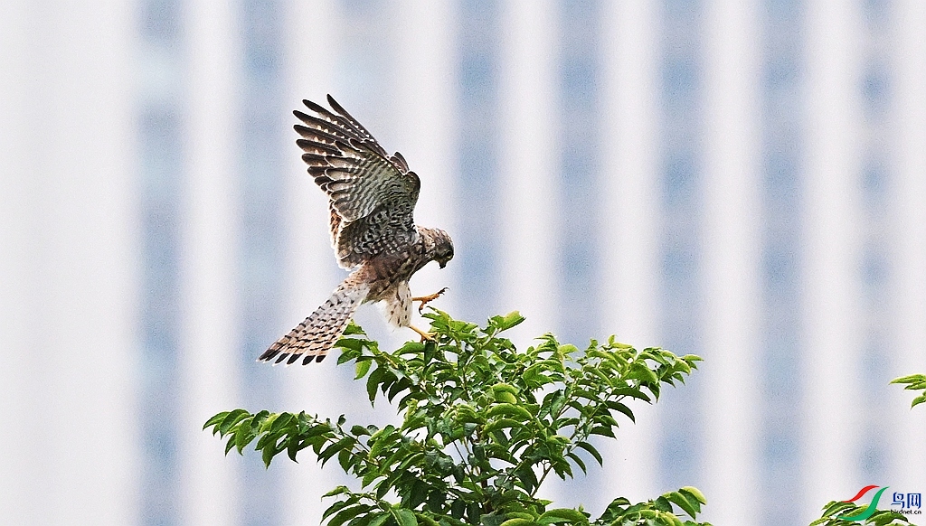 DSC_5982.JPG