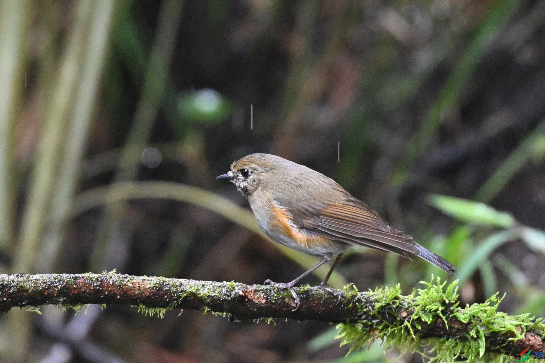 DSC_6849.JPG