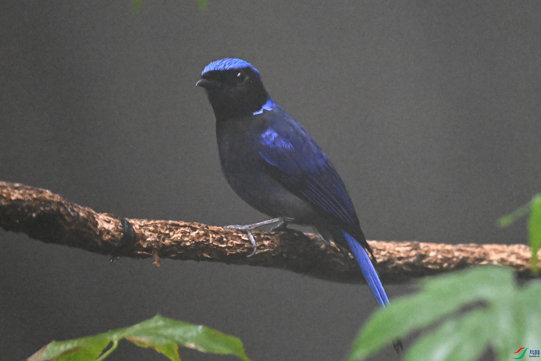 DSC_6863.JPG
