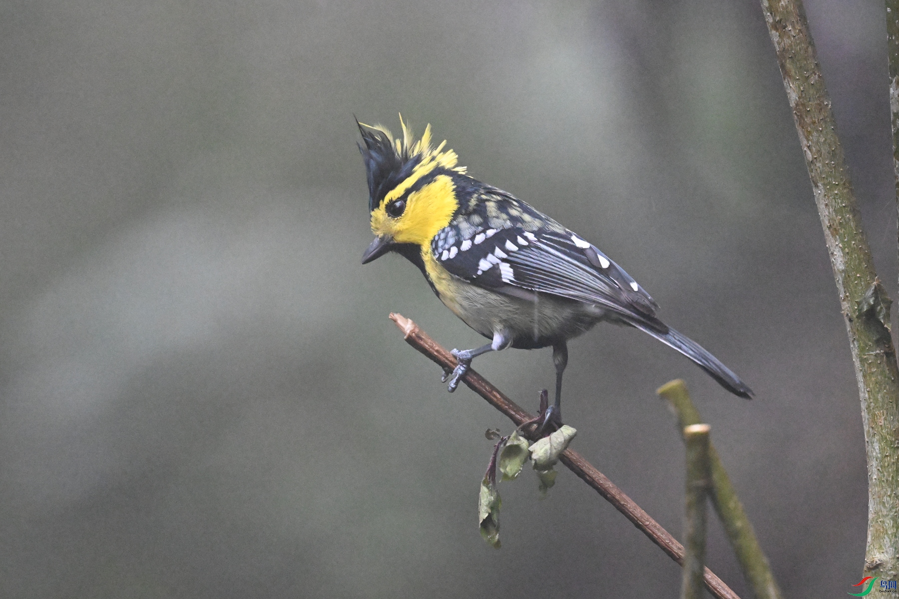 DSC_6876.JPG
