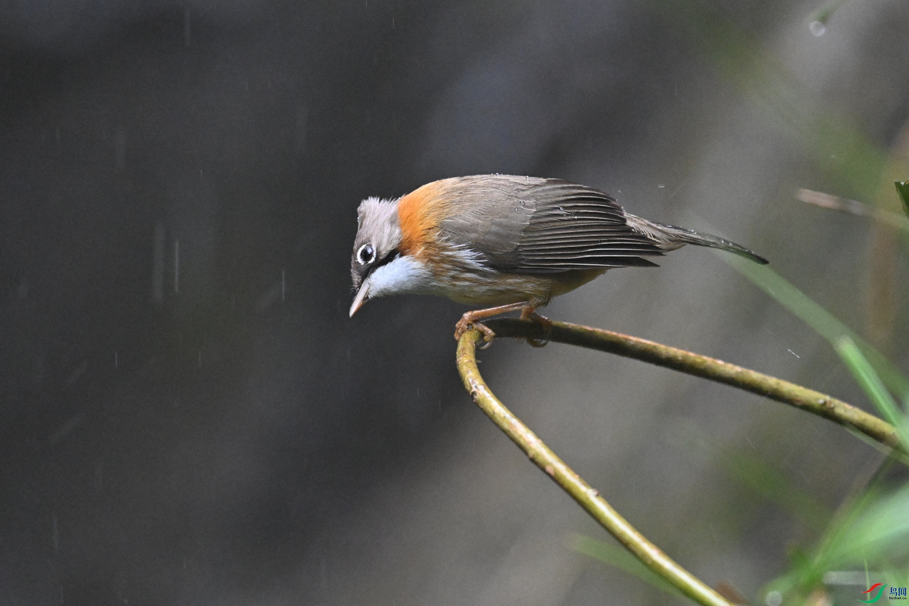 DSC_6829.JPG