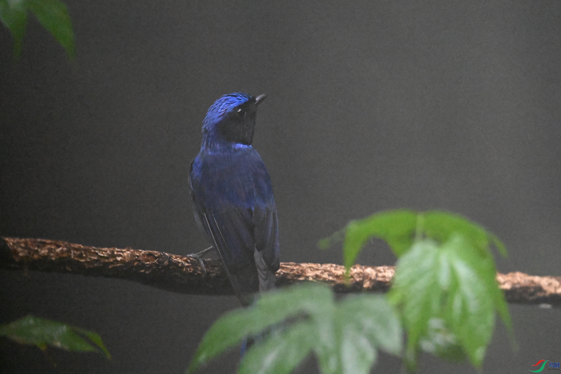 DSC_6866.JPG
