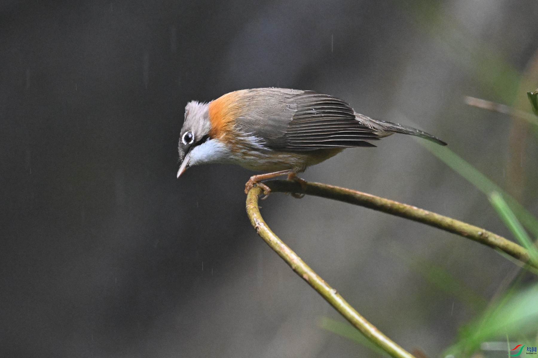 DSC_6831.JPG