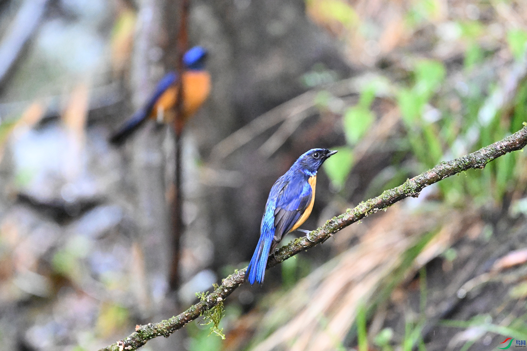 DSC_6856.JPG