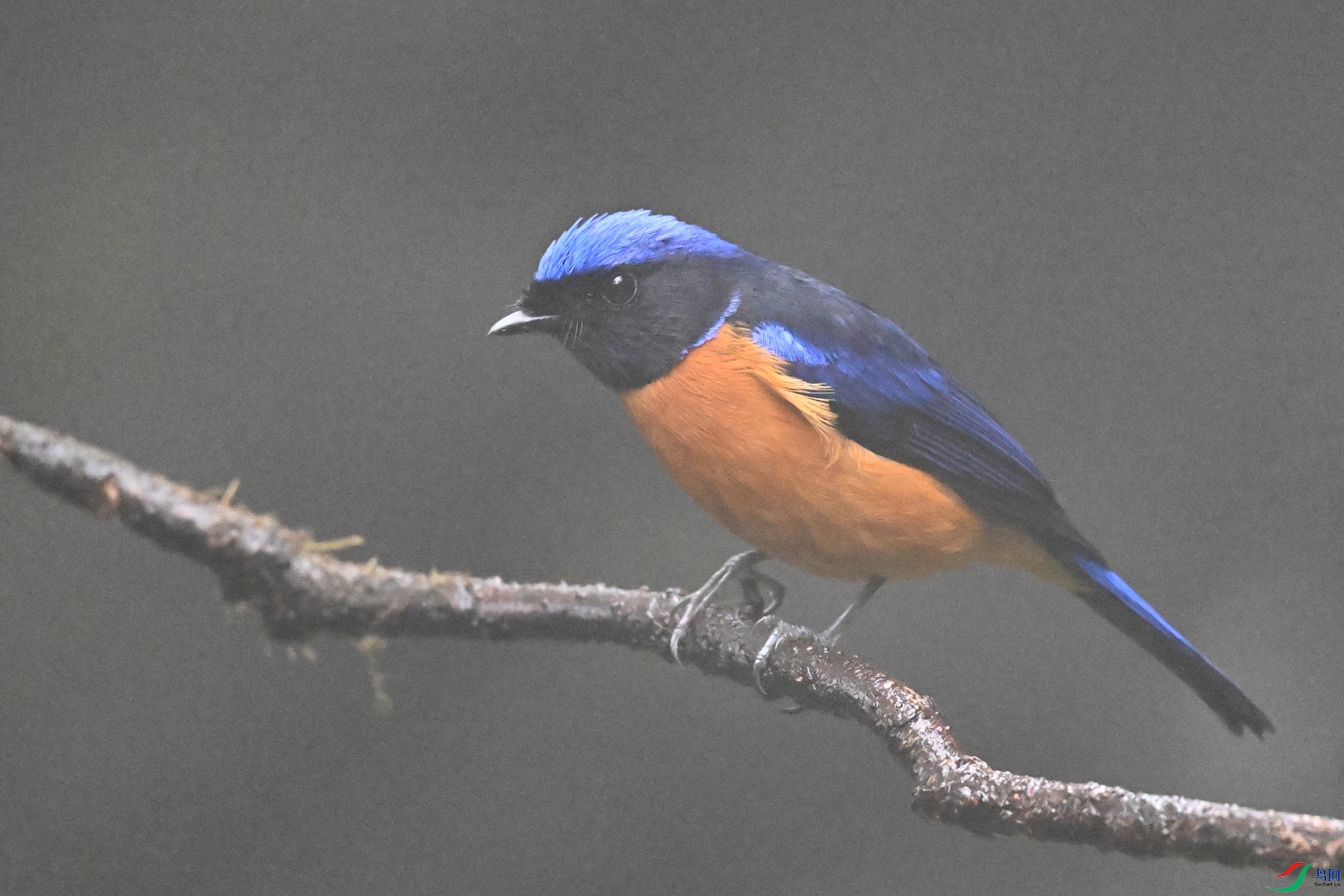 DSC_6872.JPG