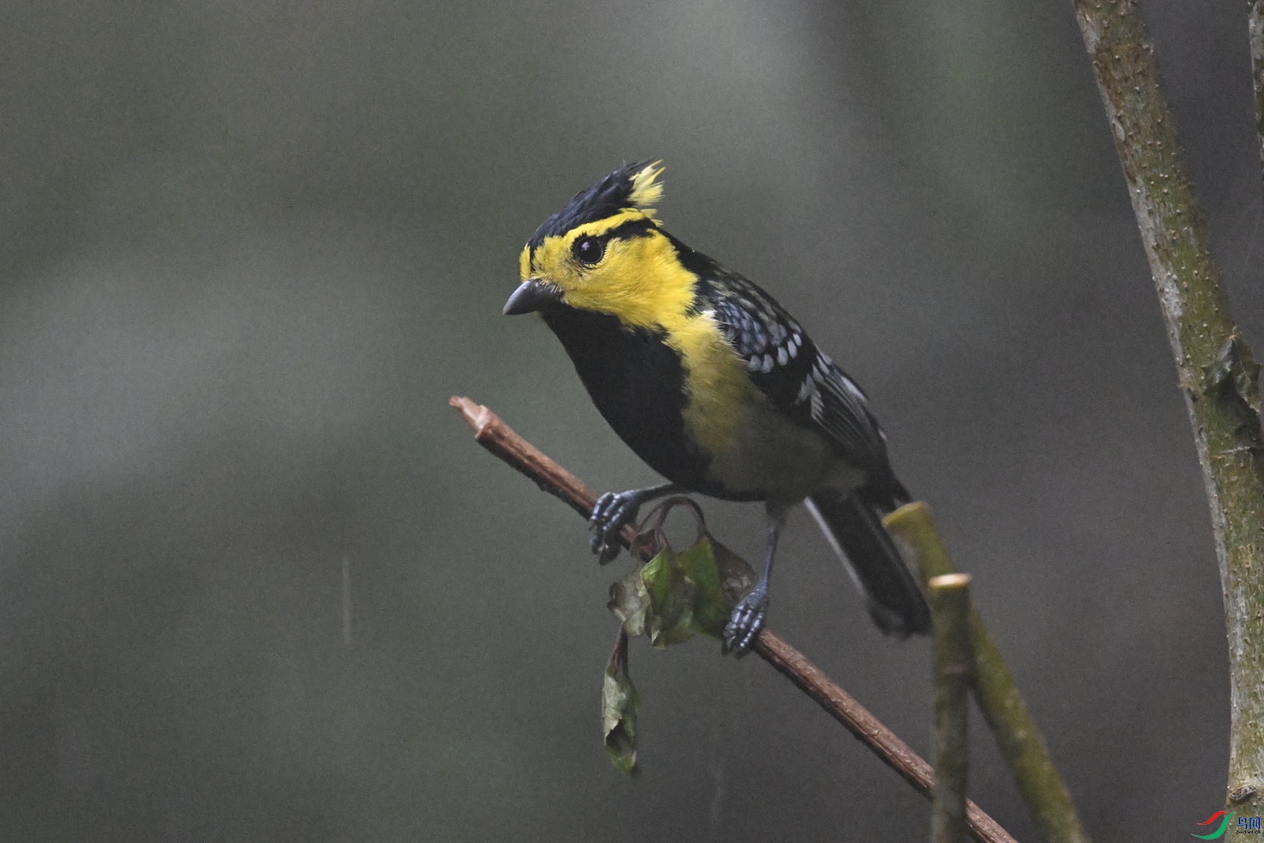 DSC_6875.JPG