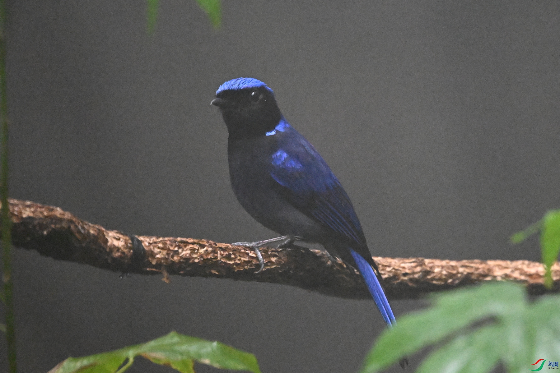 DSC_6861.JPG