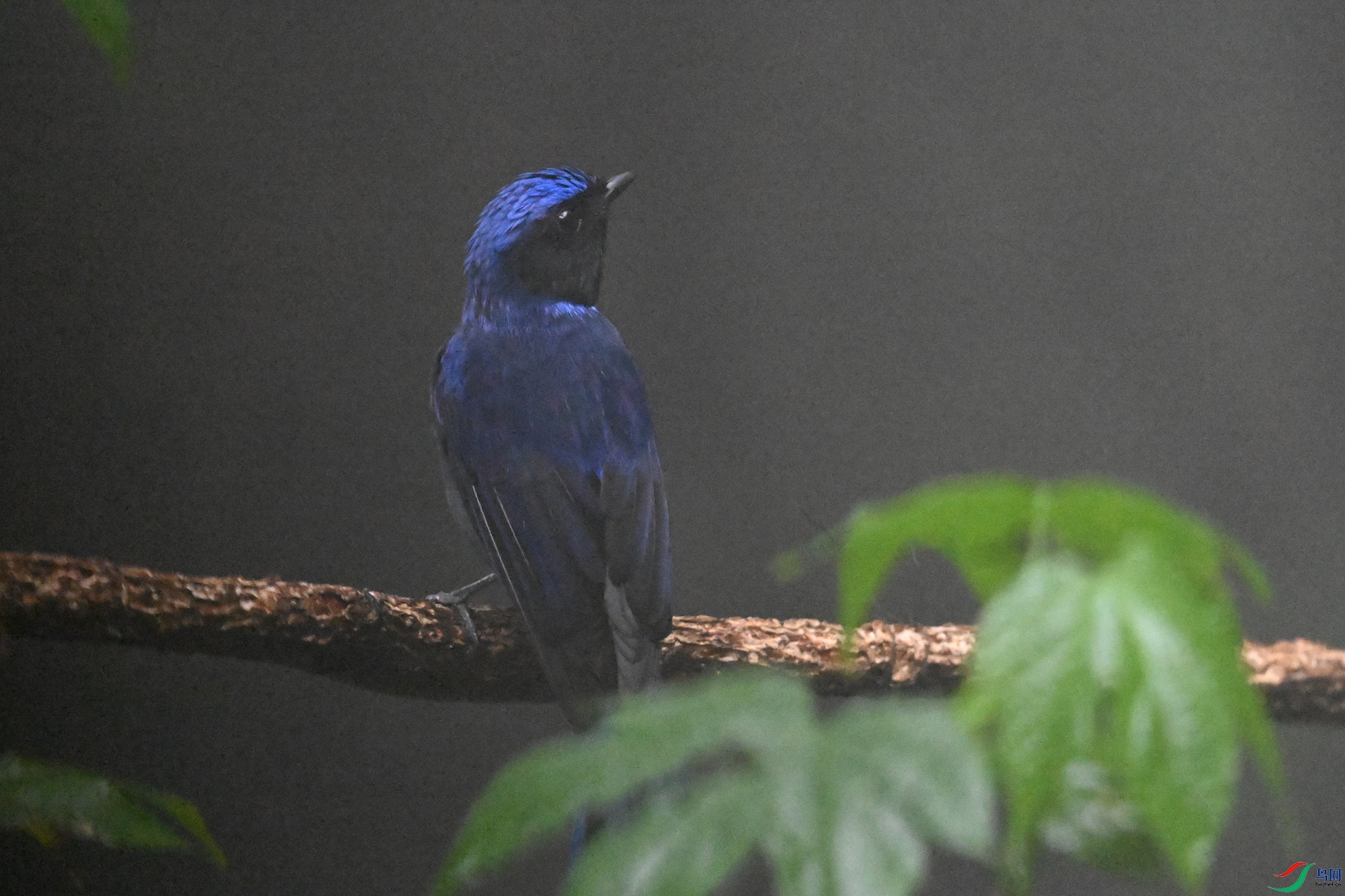 DSC_6864.JPG